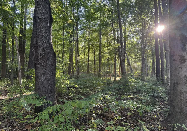 5th image of 9053 Sargent Rd, Indianapolis, IN 46256 | MLS# 22094259