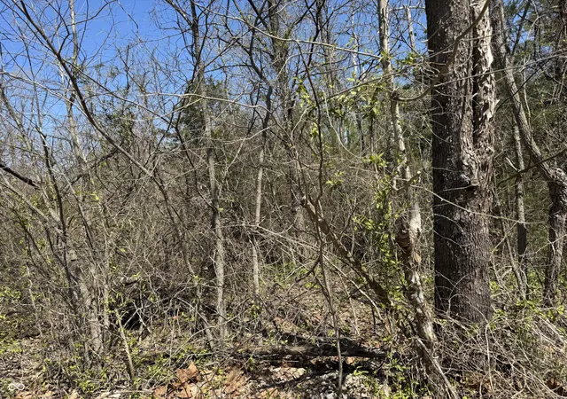 5th image of Lot B-21 State Hwy 46, Spencer, IN 47460 | MLS# 22096145