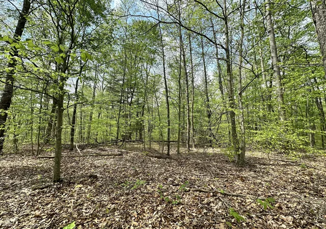 3rd image of 2013-2006 S Austin Ct, Martinsville, IN 46151 | MLS# 22097262