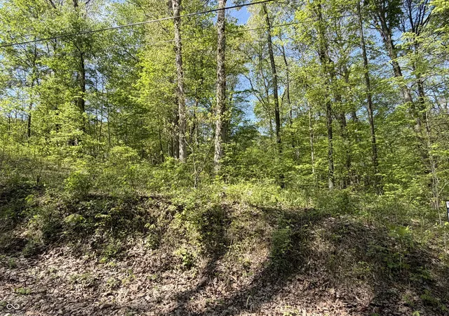 3rd image of 00 Straight Line Rd, Coal City, IN 47427 | MLS# 22097559