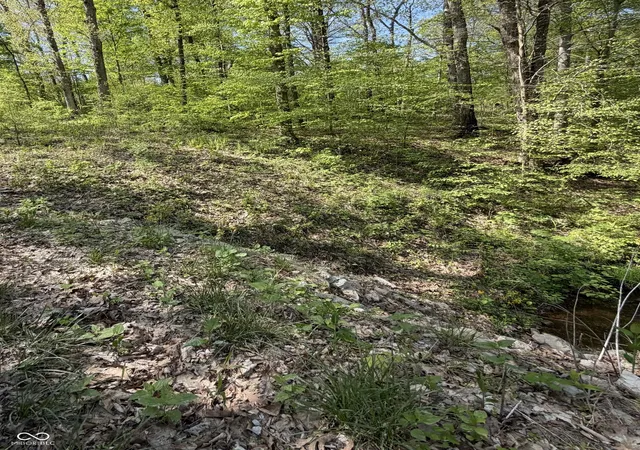5th image of 00 Straight Line Rd, Coal City, IN 47427 | MLS# 22097559