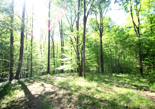 3rd image of 6349 Catfish Dr, Nineveh, IN 46164 | MLS# 22099385