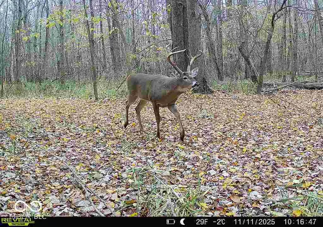 Photo 3 of Land for sale at 6000 E Block County Rd 1000 N, Seymour, IN 47274 | MLS# 22099914 | Listing updated on 2026-08-07