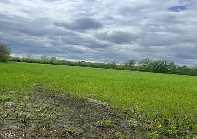 Photo 4 of Land for sale at 2500 N German Church Rd, Indianapolis, IN 46229 | MLS# 22100624 | Listing updated on 2026-05-07