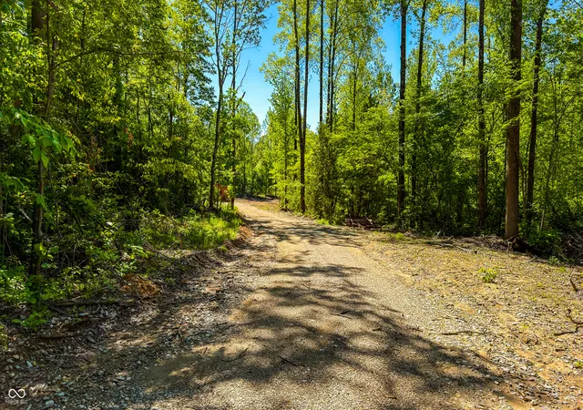 5th image of 6 Fiscus Cemetery Rd & Reynolds Rd Rd, Coal City, IN 47427 | MLS# 22101571