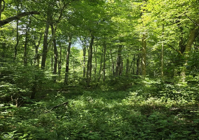 4th image of 0 Dayhuff East Rd, Mooresville, IN 46158 | MLS# 22101759