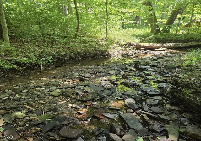 5th image of 0 Dayhuff East Rd, Mooresville, IN 46158 | MLS# 22101759