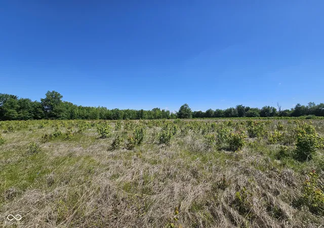 Homes for sale in Crothersville, IN | 6000 S Block Us Hwy 31, Crothersville, IN 47229 | MLS# 22102775
