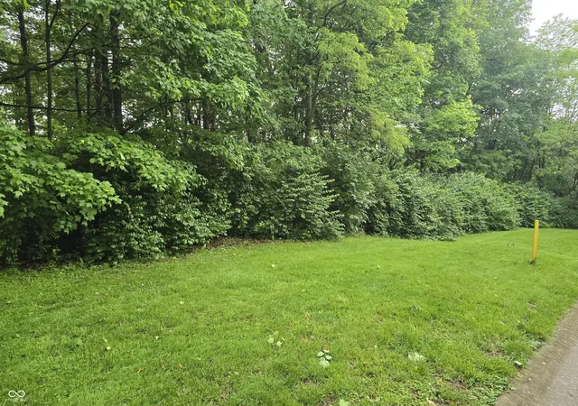 3rd image of 9895 Irishmans Run Ln, Zionsville, IN 46077 | MLS# 22103222