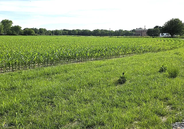 3rd image of 0 N State Road 75, North Salem, IN 46165 | MLS# 22104257