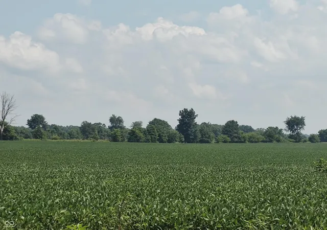 2nd image of 0 E 600 N, Crawfordsville, IN 47933 | MLS# 22105077