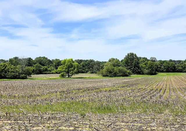 5th image of Lot 3 Legacy Estates At Paradise, Martinsville, IN 46151 | MLS# 22106210