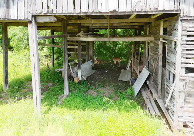 Photo 4 of House for sale at 19205 Michigan Rd, Marysville, IN 47141 | MLS# 22106632 | Listing updated on 2026-08-19