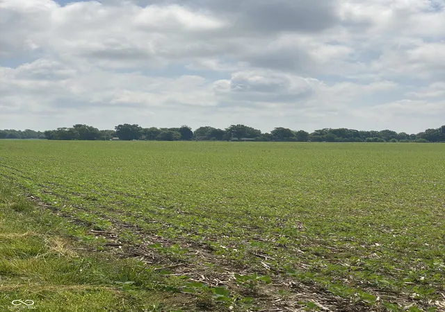 1st image of Tbd E State Road 236, North Salem, IN 46165 | MLS# 22107239