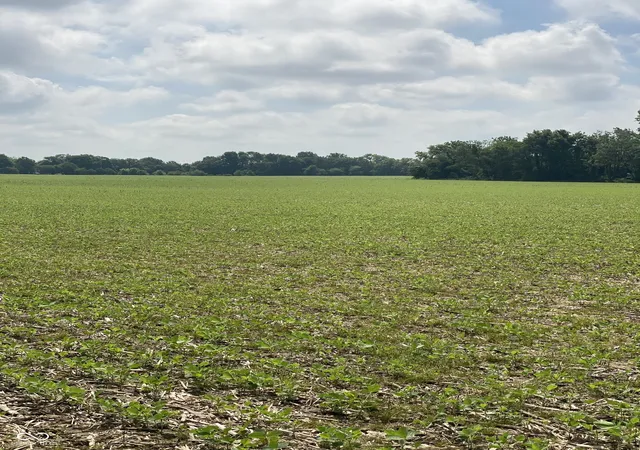 2nd image of Tbd E State Road 236, North Salem, IN 46165 | MLS# 22107239