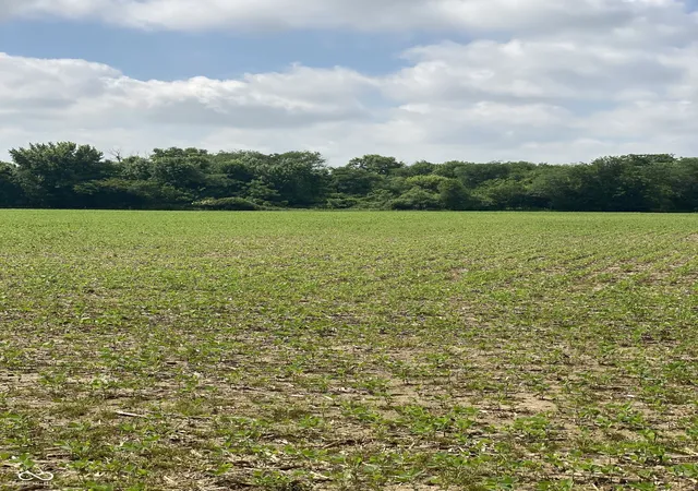 3rd image of Tbd E State Road 236, North Salem, IN 46165 | MLS# 22107239