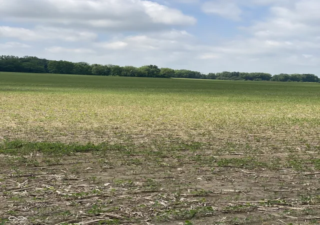 7th image of Tbd E State Road 236, North Salem, IN 46165 | MLS# 22107239