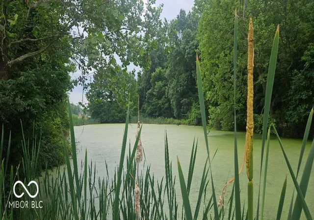 2nd image of 0 S Denny Hill Rd, Paragon, IN 46166 | MLS# 22107335