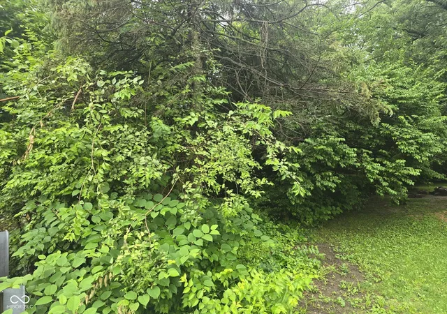 Photo 2 of Land for sale at 2914 Brill Rd, Indianapolis, IN 46225 | MLS# 22108486 | Listing updated on 2026-08-17