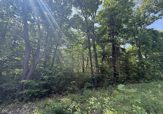 22nd image of 0 Carter, Solsberry, IN 47459 | MLS# 22110466