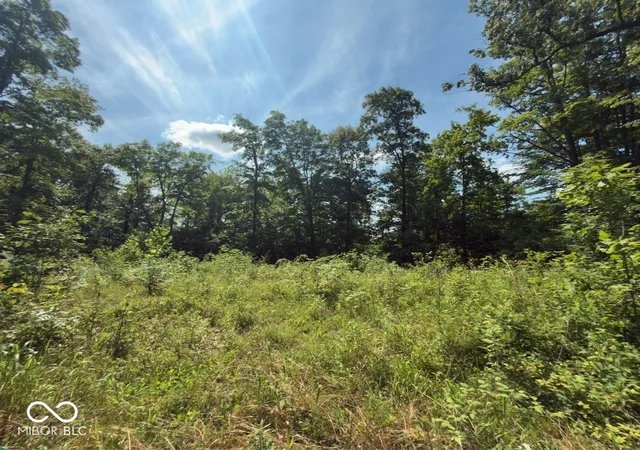 4th image of 0 Carter, Solsberry, IN 47459 | MLS# 22110466