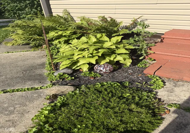 33rd image of 207 N Market St, Rockville, IN 47872 | MLS# 22111079
