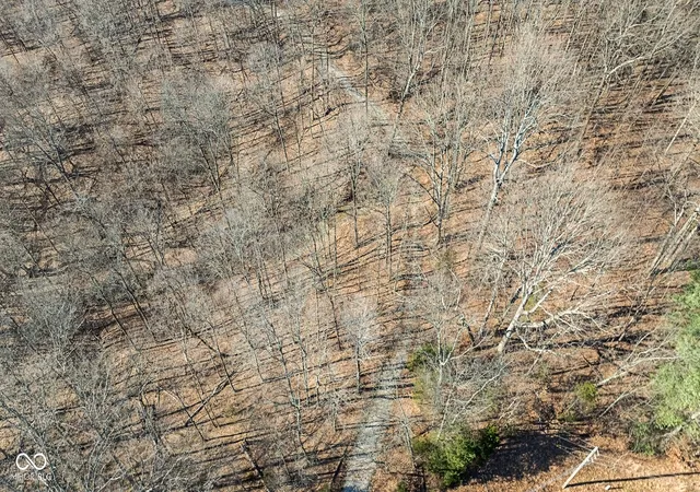 4th image of 0 N Rush Creek Rd, Salem, IN 47167 | MLS# 22112536