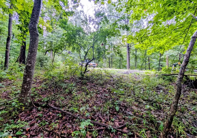 9th image of 0 Aspen Dr, Nineveh, IN 46164 | MLS# 22113104