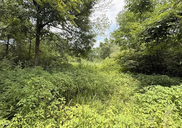4th image of 10000 Blk W Cr 700 S, Daleville, IN 47334 | MLS# 22113294