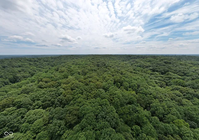 3rd image of 5538 E Washboard Rd, Bloomfield, IN 47424 | MLS# 22113758