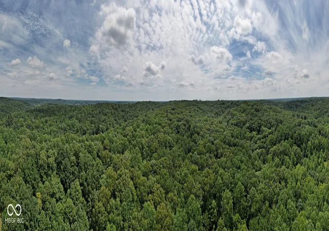 4th image of 5538 E Washboard Rd, Bloomfield, IN 47424 | MLS# 22113758