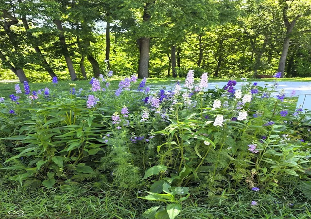 36th image of 3585 W County Road 450 S, Greencastle, IN 46135 | MLS# 22113769