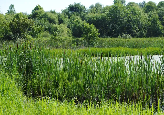Photo 3 of Land for sale at 8000 E County Rd 1000 S, Austin, IN 47102 | MLS# 22114391 | Listing updated on 2026-07-20