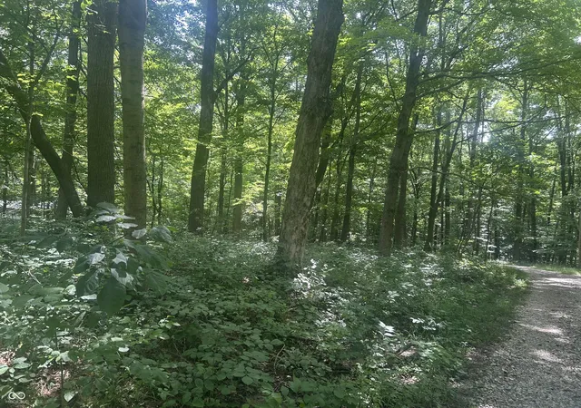 1st image of 0 Catfish Dr, Nineveh, IN 46164 | MLS# 22115228
