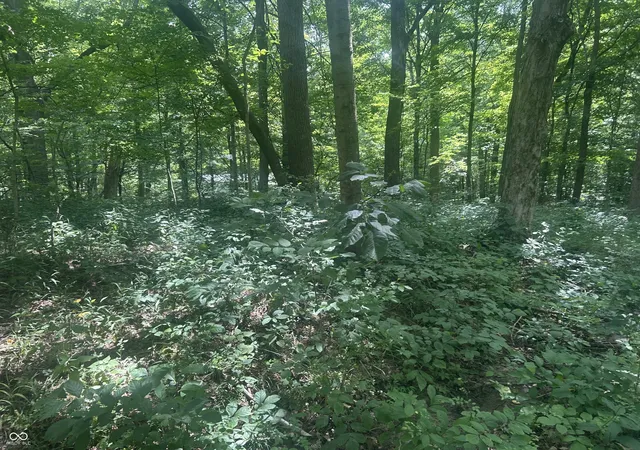 2nd image of 0 Catfish Dr, Nineveh, IN 46164 | MLS# 22115228