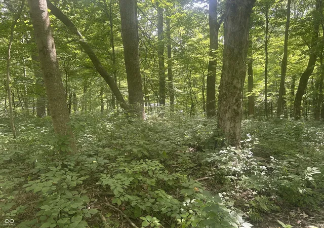 3rd image of 0 Catfish Dr, Nineveh, IN 46164 | MLS# 22115228