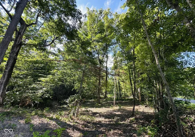 Photo 3 of Land for sale at Tract W C Private Rd 775 S, Commiskey, IN 47227 | MLS# 22116519 | Listing updated on 2026-07-27