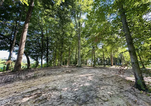 Photo 3 of Land for sale at Tract W C Private Rd 775 S, Commiskey, IN 47227 | MLS# 22116519 | Listing updated on 2026-07-27