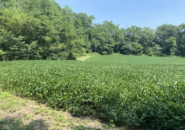 7th image of Tbd N Us 231 N, Greencastle, IN 46135 | MLS# 22116897
