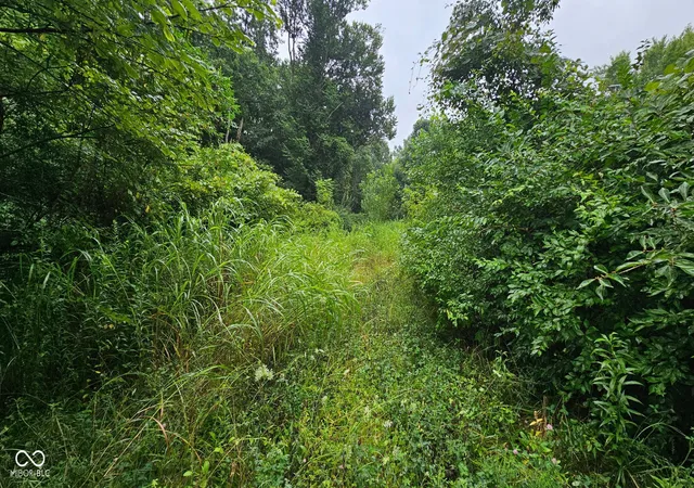 5th image of 3625 W State Road 142, Monrovia, IN 46157 | MLS# 22117771