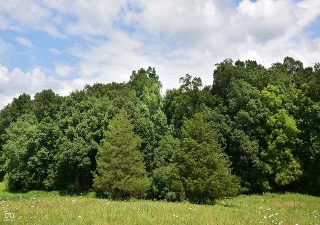 2nd image of 4203 Moorman Rd, Batesville, IN 47006 | MLS# 22118007