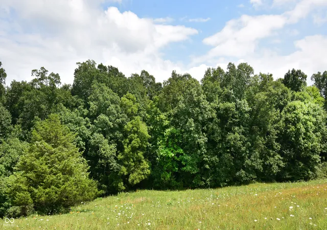 Photo 4 of Land for sale at 4203 Moorman Rd, Batesville, IN 47006 | MLS# 22118007 | Listing updated on 2026-10-05