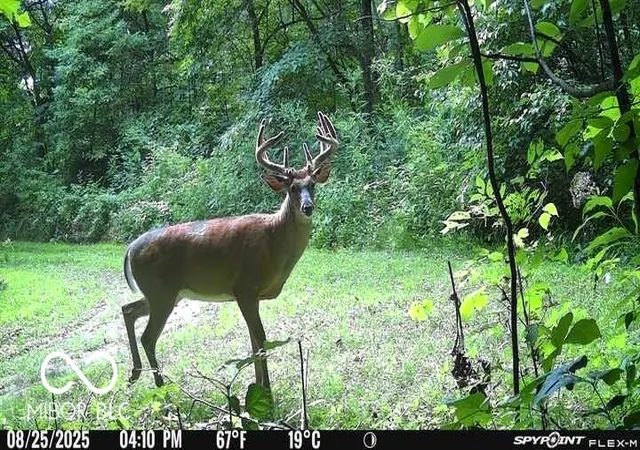 5th image of 4410 W County Road 740 S, Greencastle, IN 46135 | MLS# 22118326