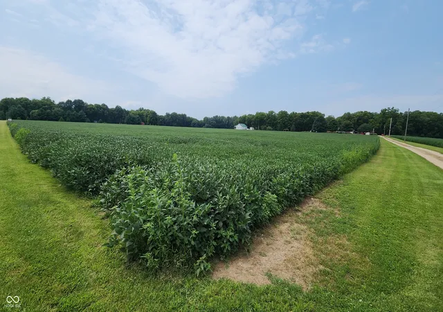2nd image of 0 N Hwy 41 N, Veedersburg, IN 47987 | MLS# 22118341