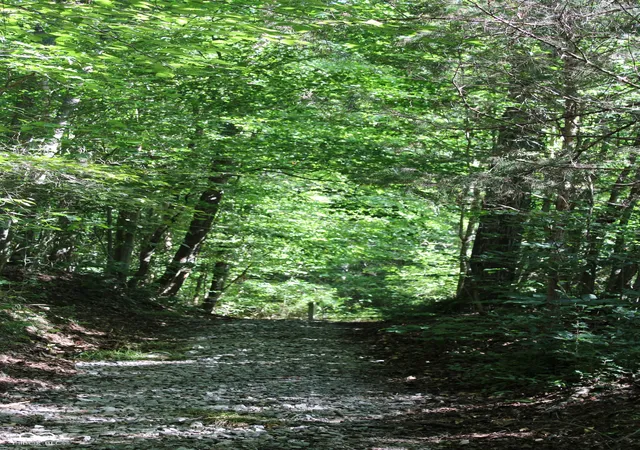 Photo 2 of Land for sale at 0 E Of Starr Rd, Campbellsburg, IN 47108 | MLS# 22118453 | Listing updated on 2026-08-28