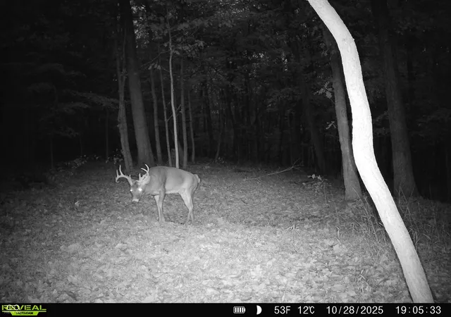 Photo 79 of Land for sale at 0 E Of Starr Rd, Campbellsburg, IN 47108 | MLS# 22118453 | Listing updated on 2026-08-28