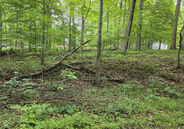 2nd image of 0 Bass Dr, Nineveh, IN 46164 | MLS# 22118585