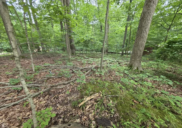 4th image of 0 Bass Dr, Nineveh, IN 46164 | MLS# 22118585