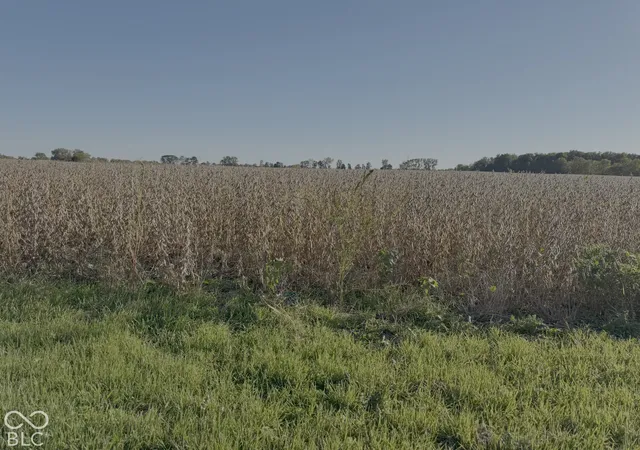 Photo 2 of Land for sale at 0 E State Rd 234 Sr, Wilkinson, IN 46186 | MLS# 22118998 | Listing updated on 2026-10-06
