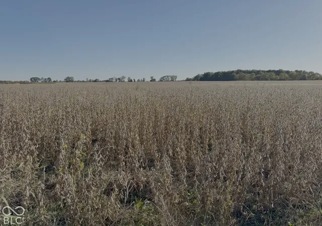 Photo 3 of Land for sale at 0 E State Rd 234 Sr, Wilkinson, IN 46186 | MLS# 22118998 | Listing updated on 2026-10-06